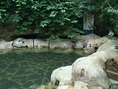 android_upload_pic-龙达温泉生态城