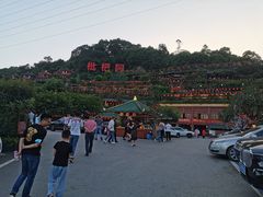 -枇杷园食为鲜火锅(南山店)