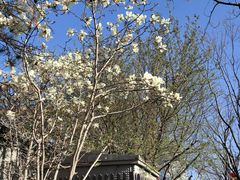 -平安里(地铁站)
