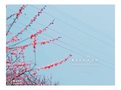 -春风习习