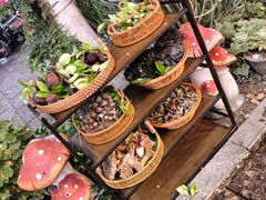 -大理.老字号渝记酸萝卜乌鱼(古城总店)