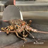 意想不到的事情发生了