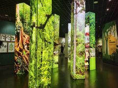 -中国科学院西双版纳热带植物园