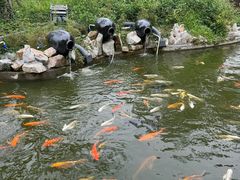 -李小龙乐园(顺德均安店)