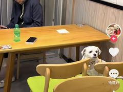 -杨国福麻辣烫(真光路店)