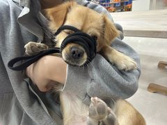 -鄂州市博物馆