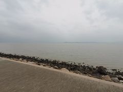 -深圳湾公园(南山区)