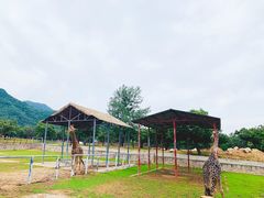 -西安秦岭野生动物园