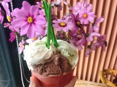 -Dal Cuore 达可芮冰淇淋(陕西北路店)