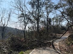 -青龙山国家森林公园