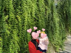 -西安市长乐公园