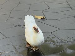 -七仙岭君澜度假酒店