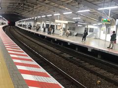 -瑞可爷爷的店(难波本店)