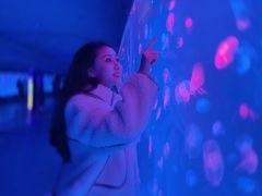 -多彩贵州城极地海洋世界