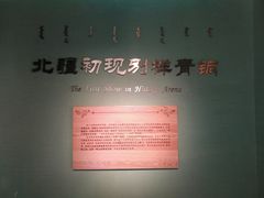 -鄂尔多斯青铜器博物馆