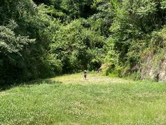 -秦岭终南山世界地质公园翠华山景区
