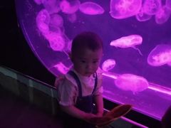 -石家庄极地海洋世界
