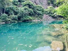 -莫干山风景区