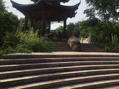 -青龙山公园