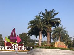 -宝安西湾红树林湿地公园