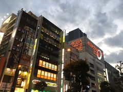 -秋叶原电器街