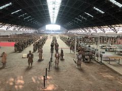-秦始皇兵马俑博物馆-停车场