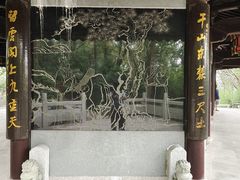 -上海佘山国家森林公园天马山园