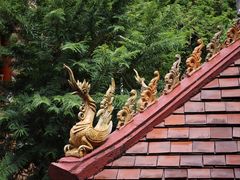 -西双版纳总佛寺