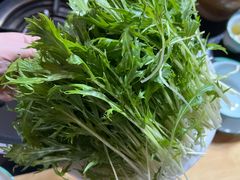 水性杨花-银同牦牛肉火锅