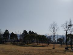 -长兴太湖图影湿地文化园