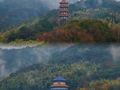 -天下玉苑