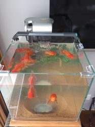 -scarlet斯卡莱美容护理机构