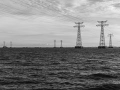 -宝安西湾红树林湿地公园