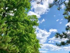 -万柳高尔夫俱乐部