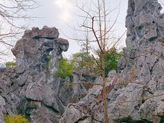 -千岛湖石林