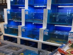 -丝路东方虾仁水饺(北京路二宫汇嘉店)