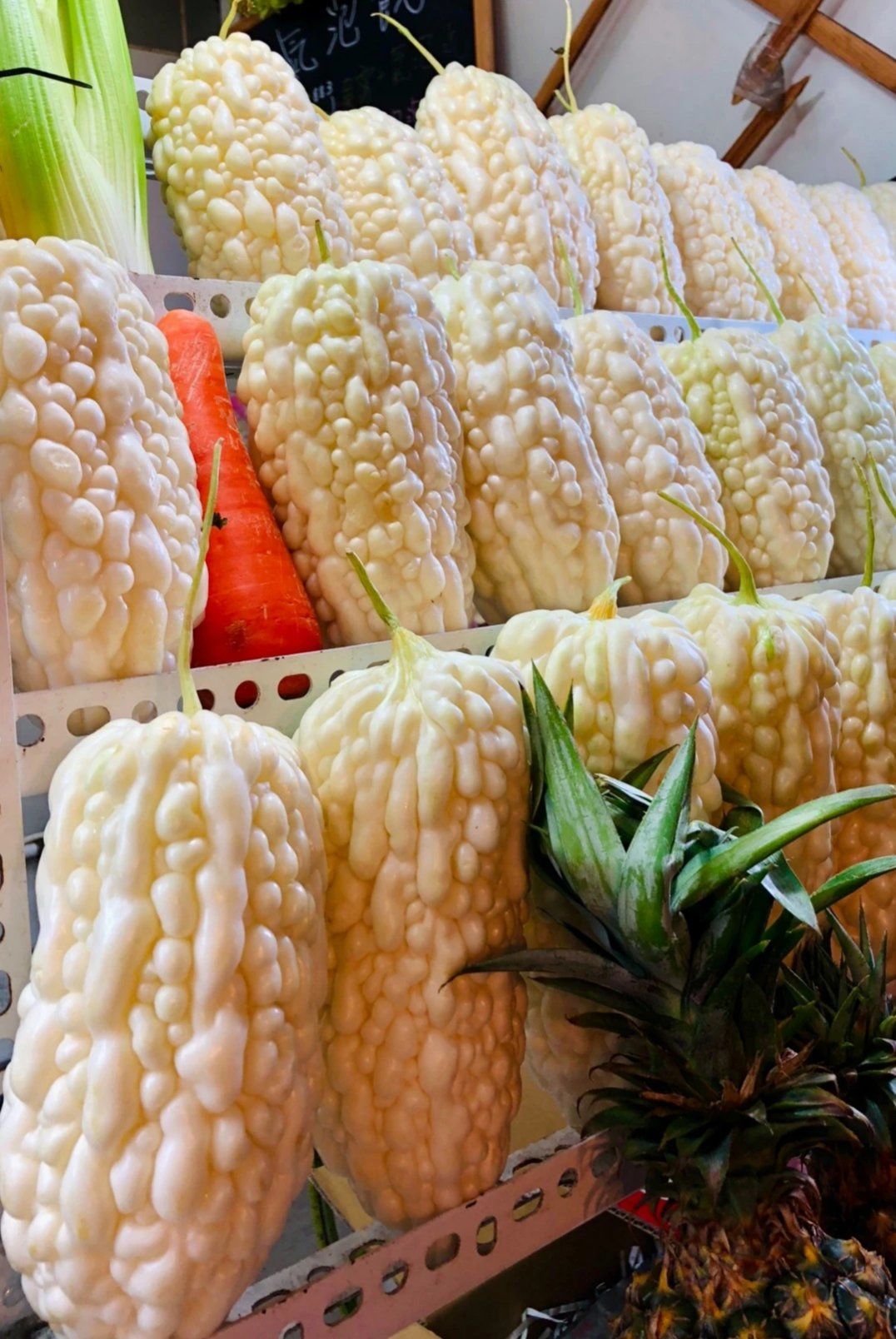 白玉苦瓜干了饶河夜市的酷