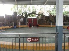 -泉州海丝野生动物世界