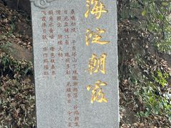 -江心屿景区