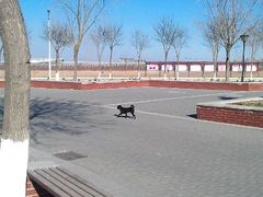 android_upload_pic-首都师范大学(良乡校区)