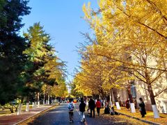 -辽宁大学(崇山校区)