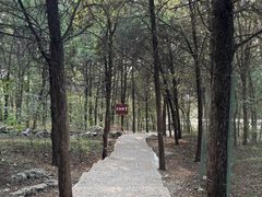 -云龙山