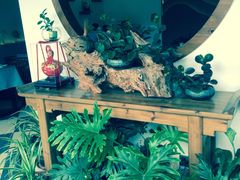 -茶油香闽南菜·花园餐厅(前埔店)