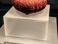 -广西壮族自治区博物馆