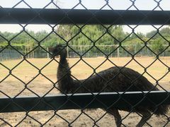 -北京麋鹿生态实验中心