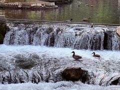 -水磨沟公园