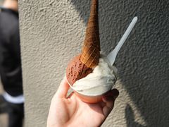 -Dip in Gelato(富民路店)