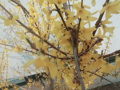 -梨木台悦来客农家院