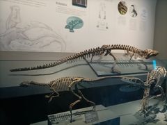 -自贡恐龙博物馆