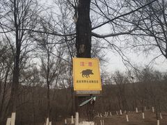 -沈阳辉山风景区